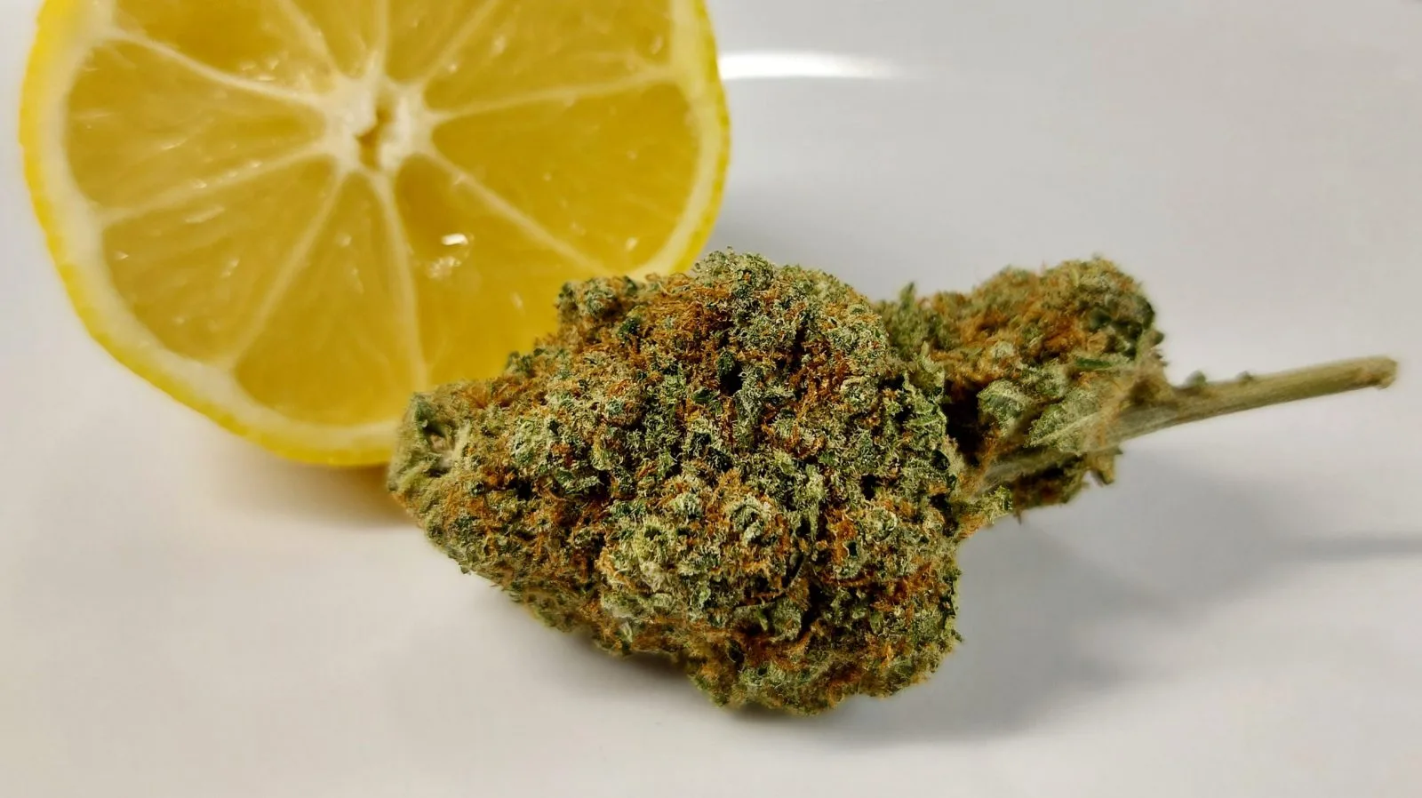 Comprar Flores De CBD
