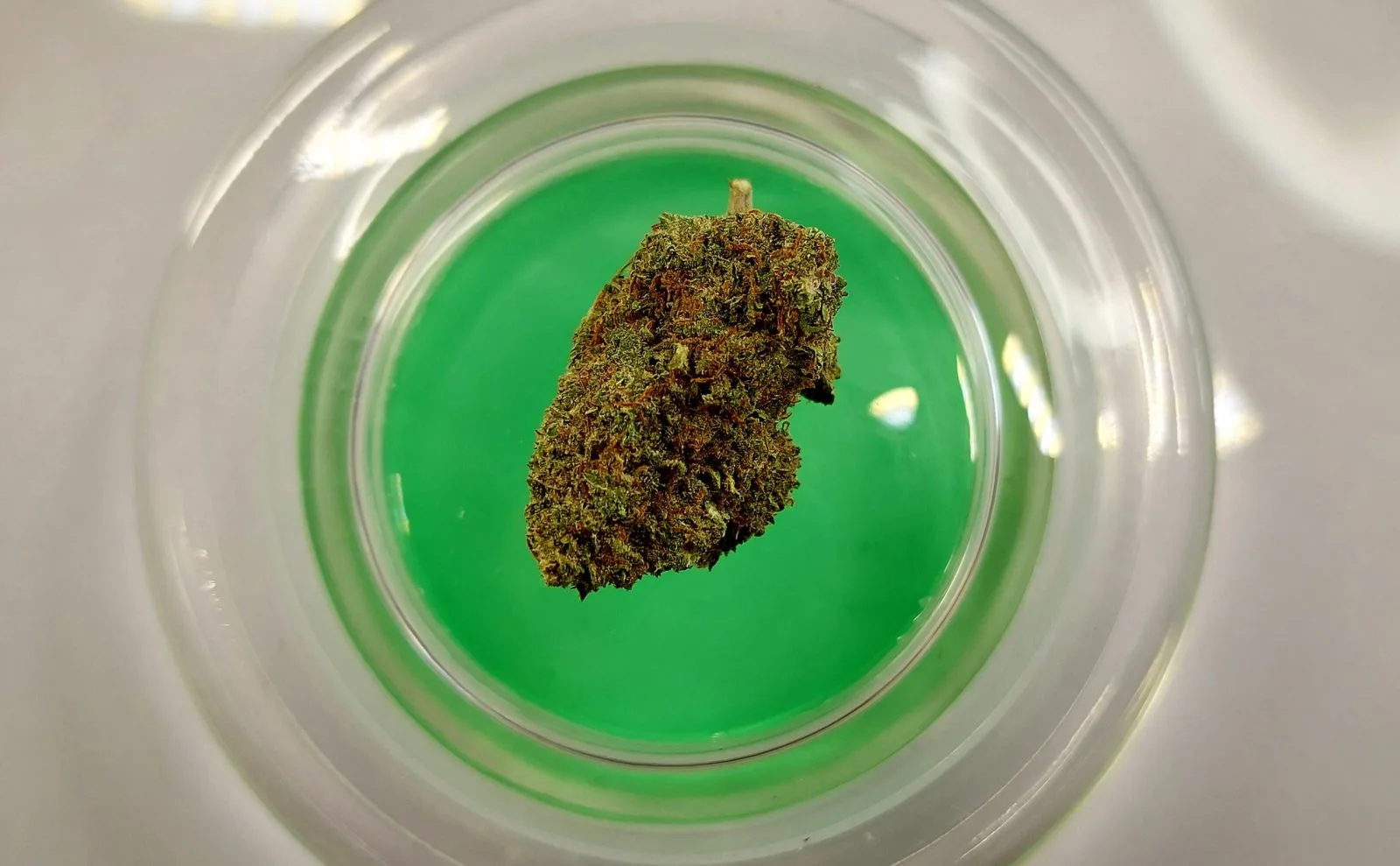 Packs GreenHouse CBD (Ofertas & Packs De CBD, imagen 4) - Natural CBD Lleida